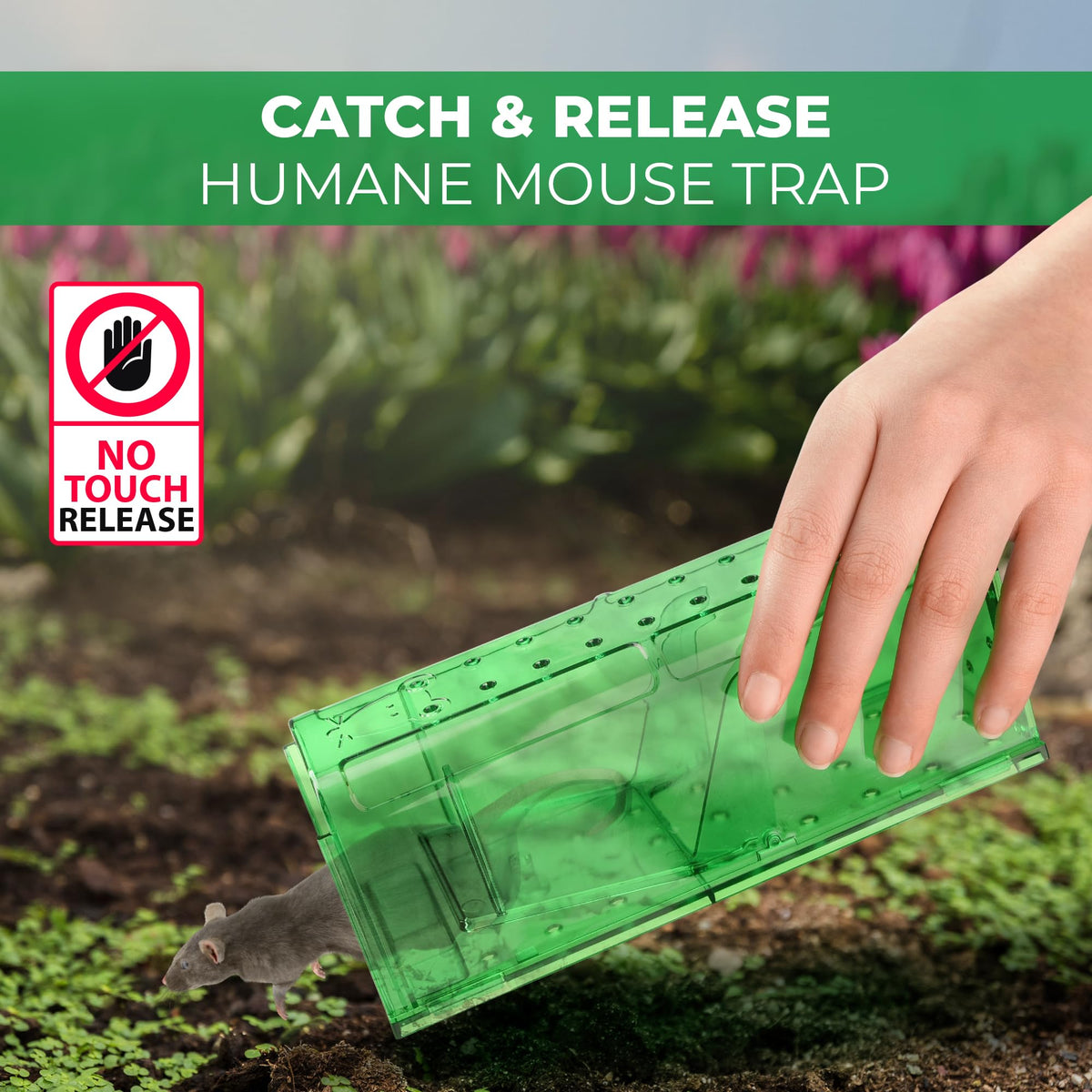 Teal Elite cleaning brush included for quick trap maintenance.