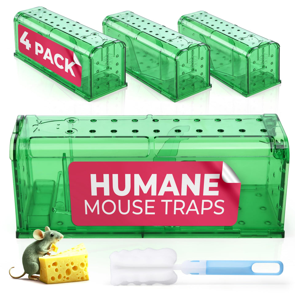 Teal Elite humane mouse trap pack 4 for indoor use, safe and effective.