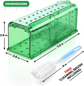 Teal Elite trap bait-area close-up for effective live capture