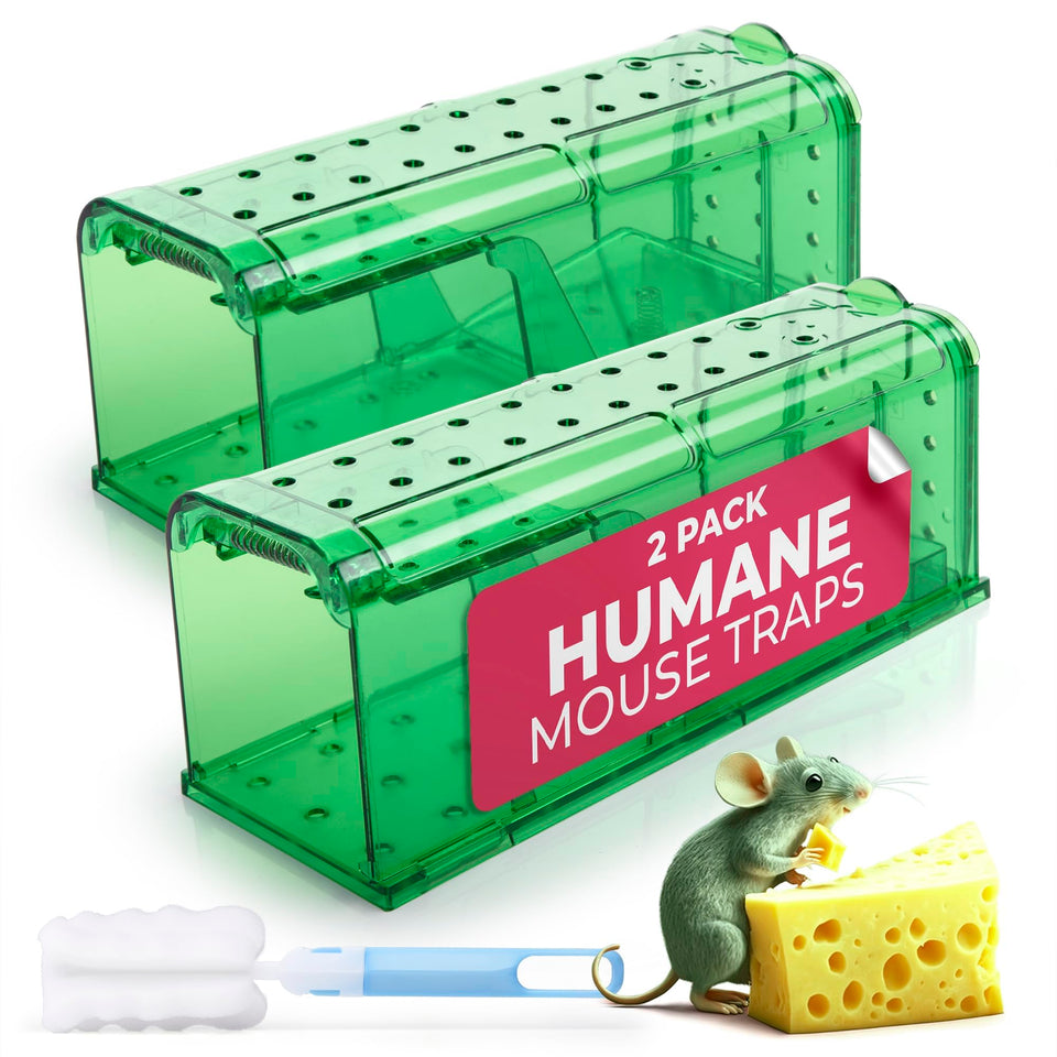 Teal Elite humane mouse trap inside view shows spacious capture area for safe use