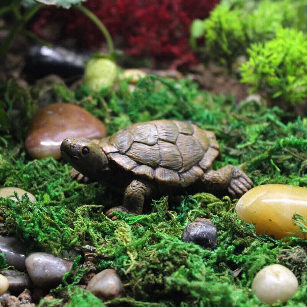 TEAMWILL artistic turtle garden decor adds personality.