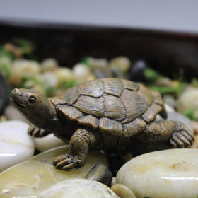 TEAMWILL turtle garden ornament enhances outdoor charm.