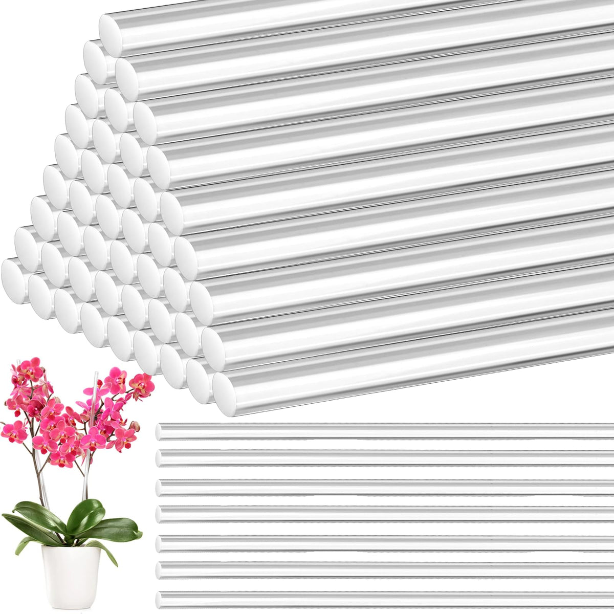 Tebery clear plant stake 17-3 inch supports delicate stems in pots.