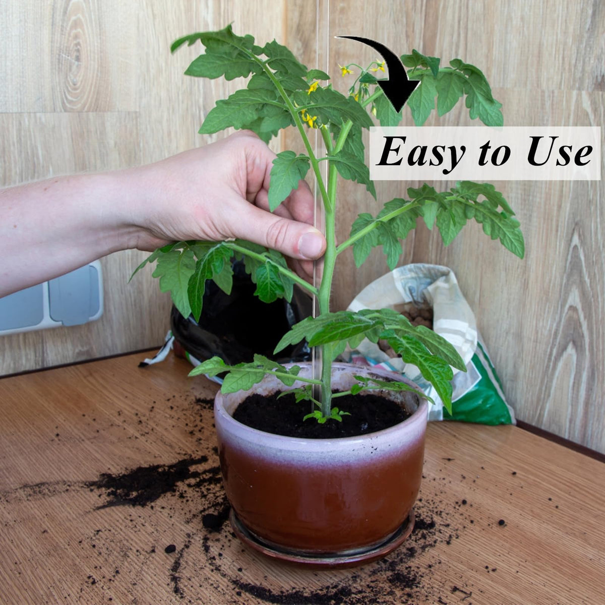 Tebery acrylic stake enables easy DIY cake toppers and crafts.