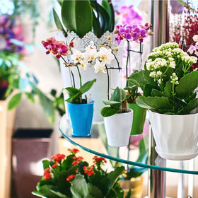 Tebery versatile stake brightens craft and wedding decorations.