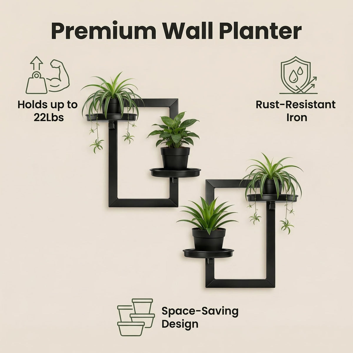 TECKED black wall planters blend with modern decor and greenery.