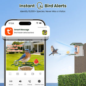 TECKNET live arrival alerts notify when birds arrive