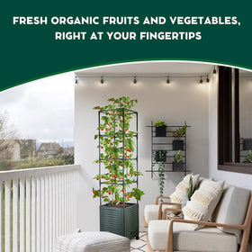 TeCreatio durable metal trellis offers strong support for tomato vines