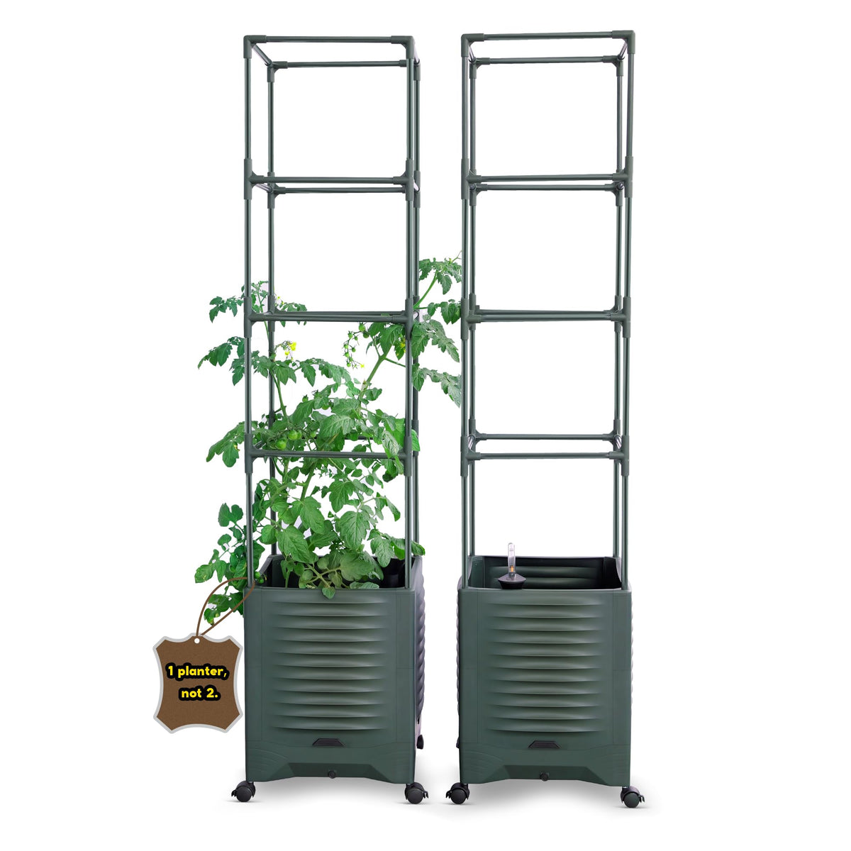TeCreatio raised garden bed tomato planter trellis 55-inch enables easy sun exposure control