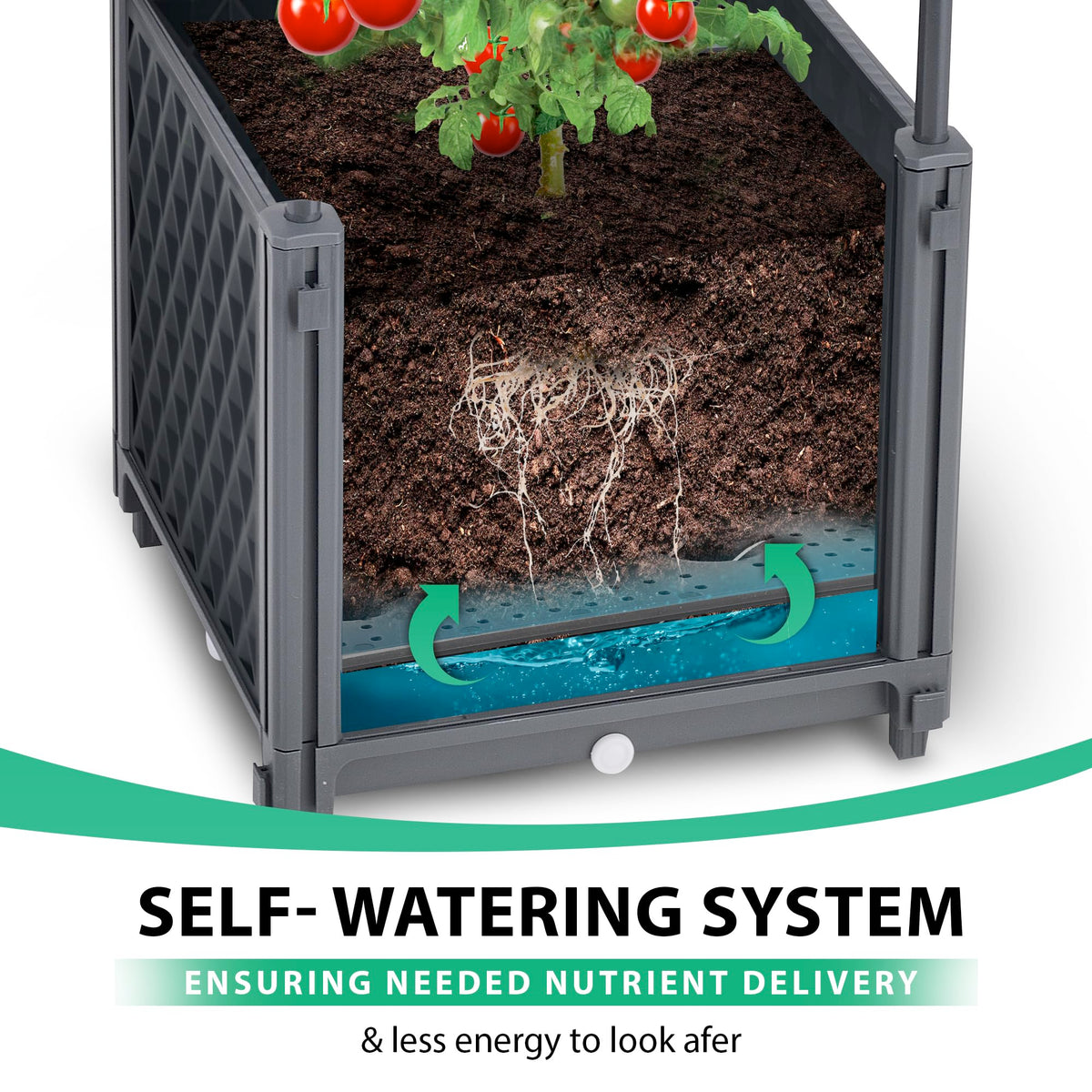 TeCreatio self-watering tomato planter base keeps soil evenly moist with less maintenance.