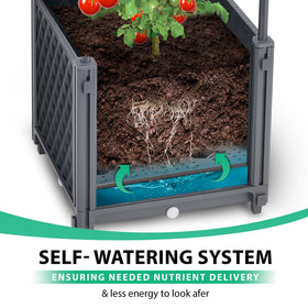 TeCreatio self-watering tomato planter base keeps soil evenly moist with less maintenance.