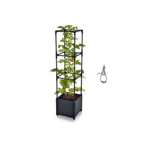 TeCreatio tomato planter with metal trellis supports climbing plants outdoors for healthy growth.