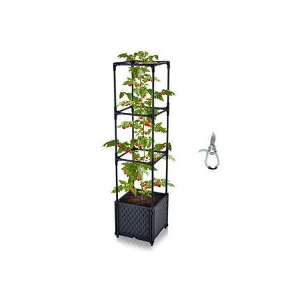TeCreatio tomato planter with metal trellis supports climbing plants outdoors for healthy growth.