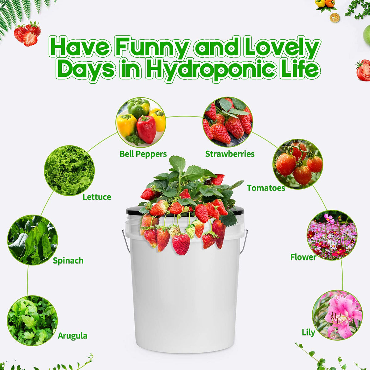Tectsia 5-pack net pots for organized hydroponics setups