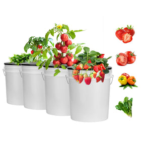 Tectsia 6inch mesh net pot provides sturdy root support for DWC systems