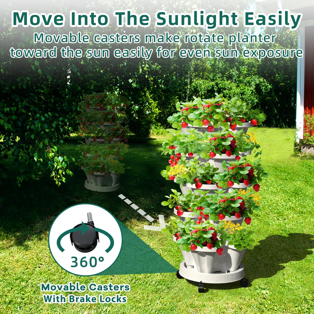 BPA-free construction suitable for kitchen or patio garden use