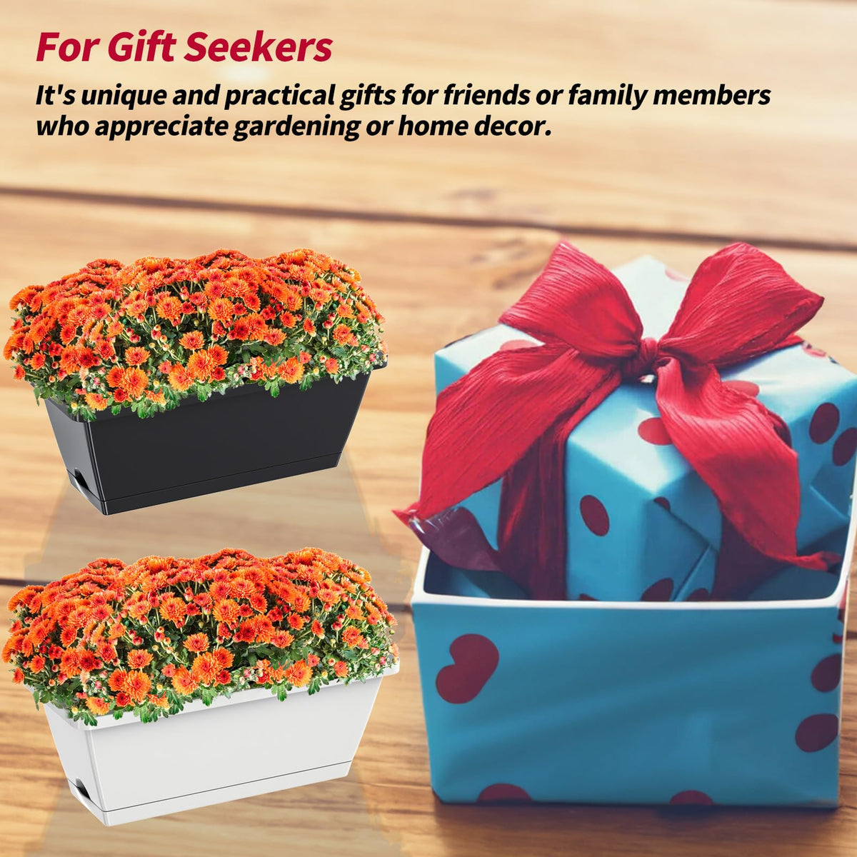 Tectsia compact window boxes suit small gardens and windows.