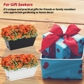 Tectsia compact window boxes suit small gardens and windows.