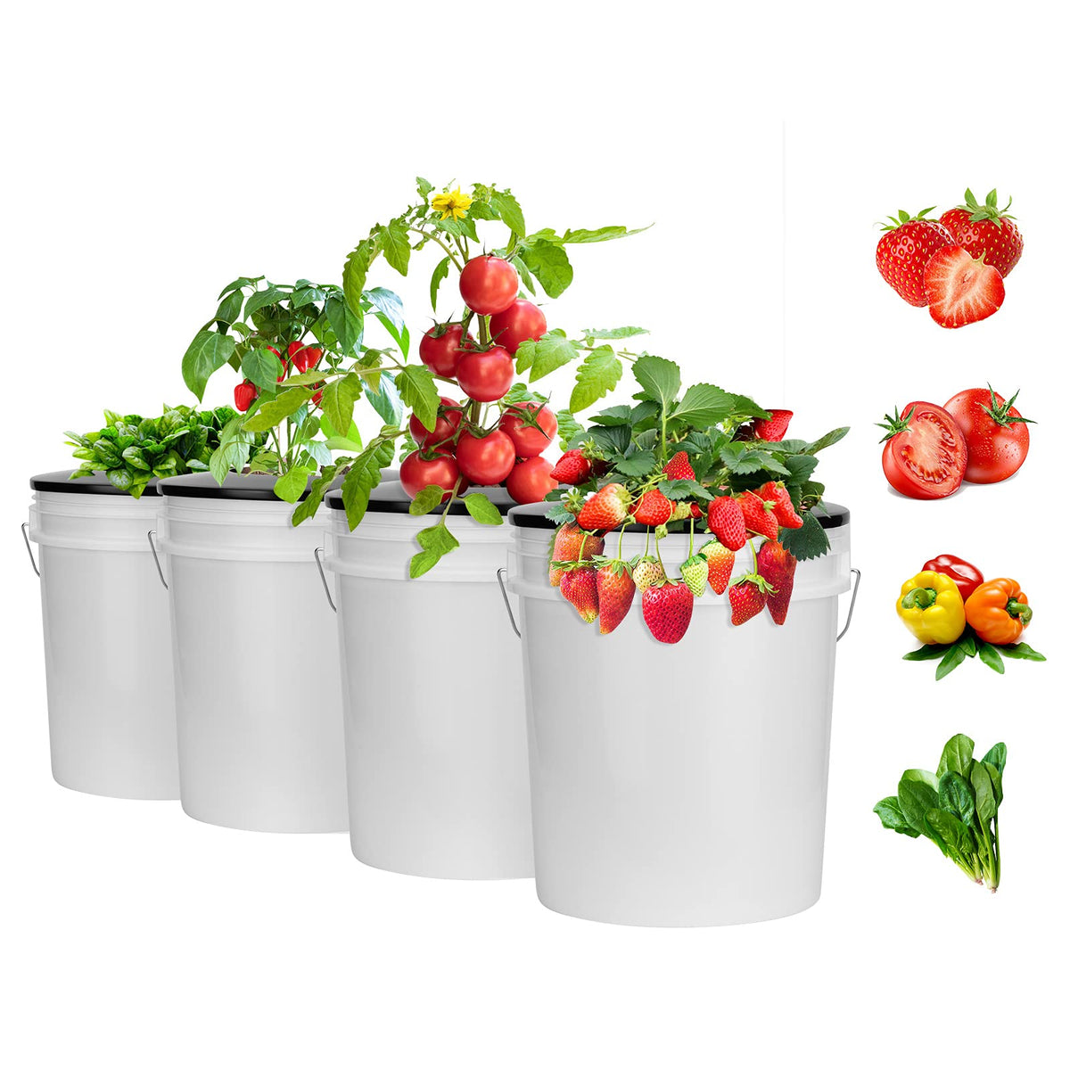 Tectsia 6-pack net pot lids ideal for multiple plants and setups.