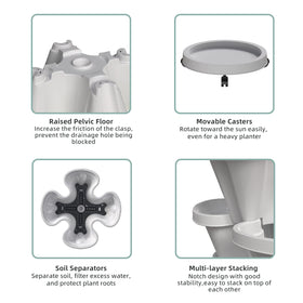 Tectsia rolling garden saucer enables easy relocation