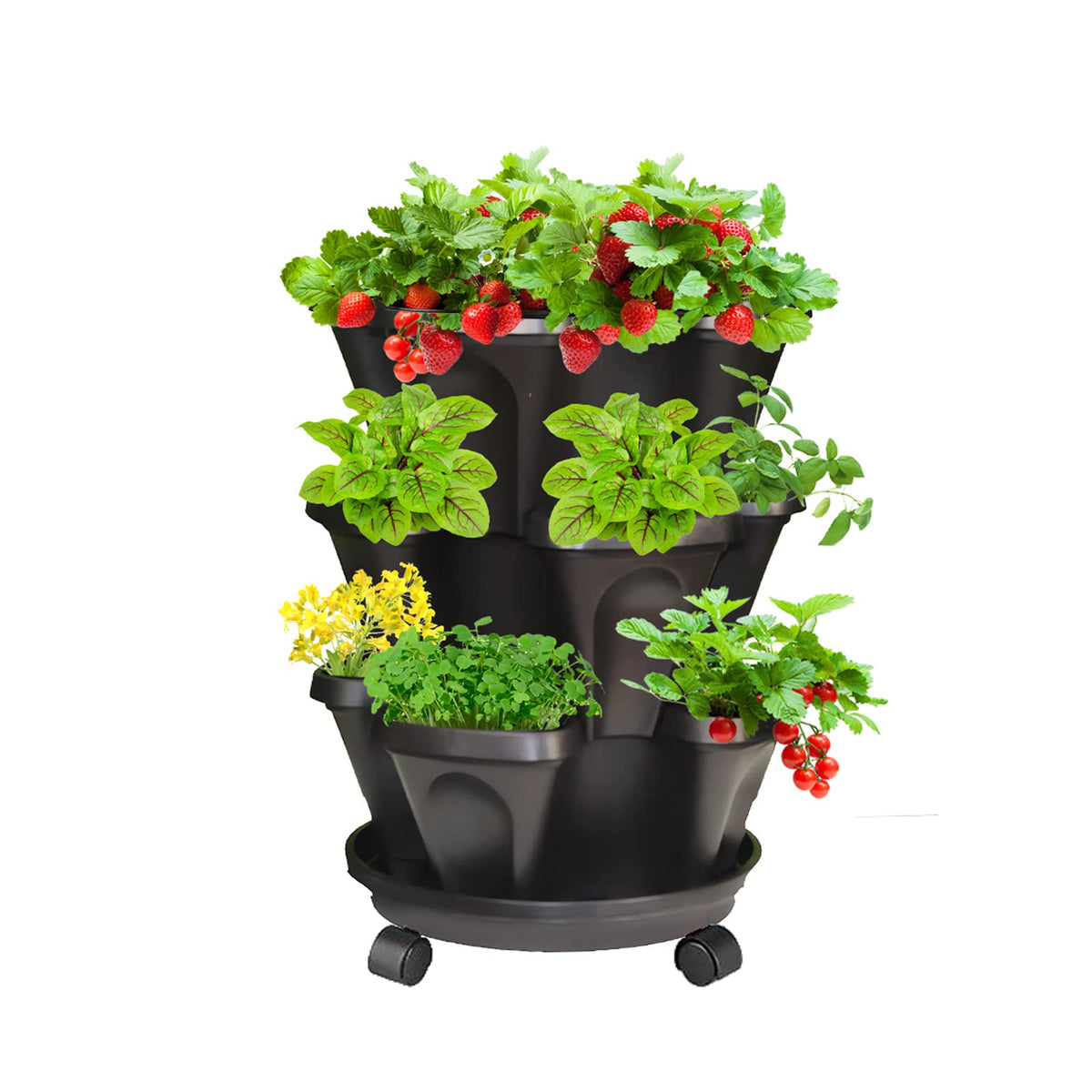 Tectsia strawberry vertical planter with cascading berries and three-tier design for compact planting