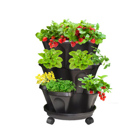 Tectsia strawberry vertical planter with cascading berries and three-tier design for compact planting