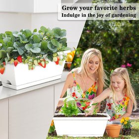 Tectsia window boxes with drainage holes and removable trays for easy care.