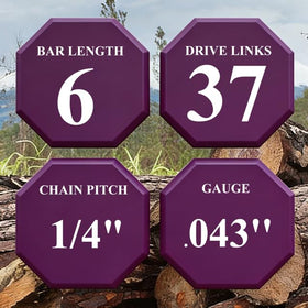 TEEANEES 6-inch chain close-up showing durable alloy and drive links.
