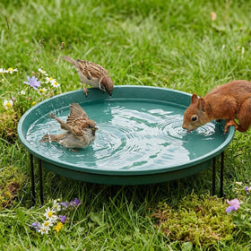 Teecyhooo ground-level green bird bath with sturdy stand for outdoor use