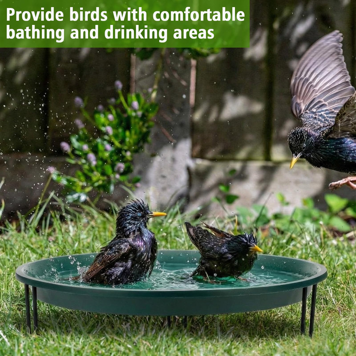 Teecyhooo large bird bath adding patio charm and habitat