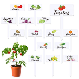 Teeloray 30-pcs acrylic vegetable labels display names for easy garden organization and harvest planning