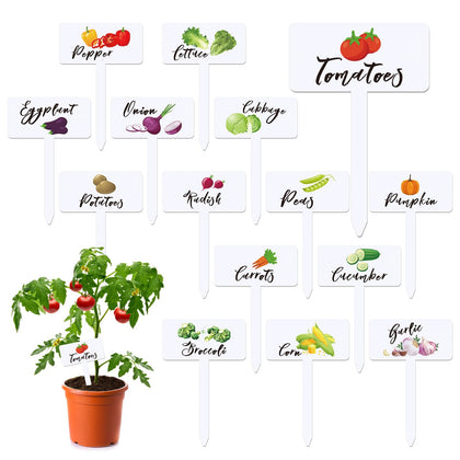 Teeloray 30-pcs acrylic vegetable labels display names for easy garden organization and harvest planning