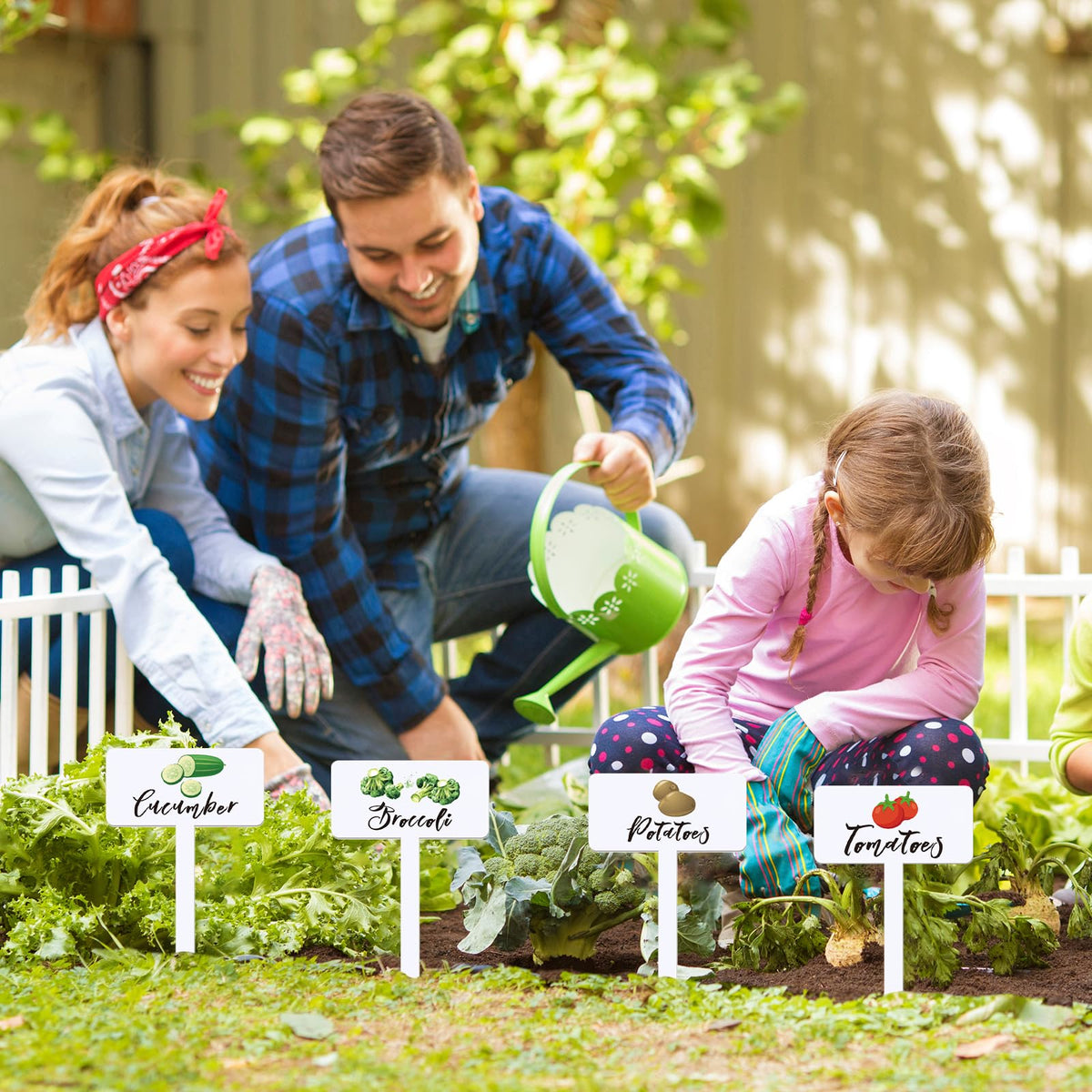Teeloray colorful vegetable name labels help beginners identify crops quickly