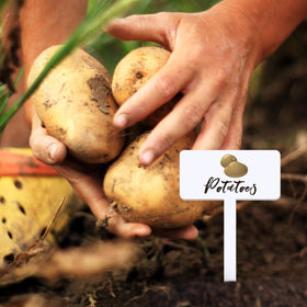 Teeloray indoor-outdoor garden signs improve garden labeling and curb appeal