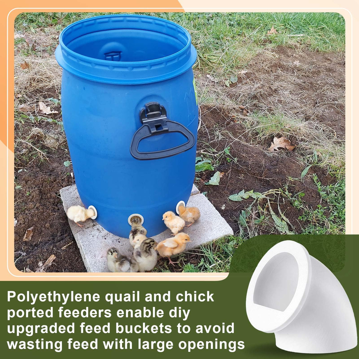 Teenyyou easy-clean feeder port ideal for busy poultry keepers and home coops.