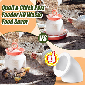 Teenyyou reusable PETG feeders offer durable, long-lasting feeding solutions.