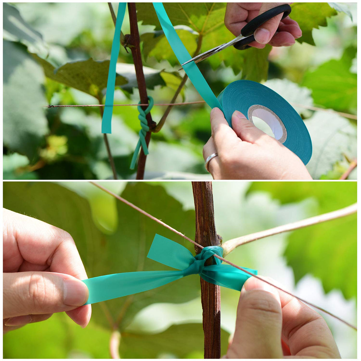 TELENT OUTDOORS climbing-plant-tie-green; practical for trellises and planters.