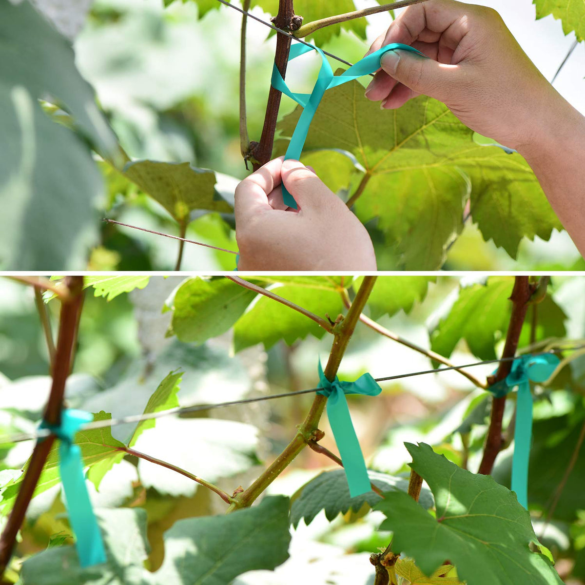 TELENT OUTDOORS vinyl-plant-tape green; blends with garden and cuts easily.