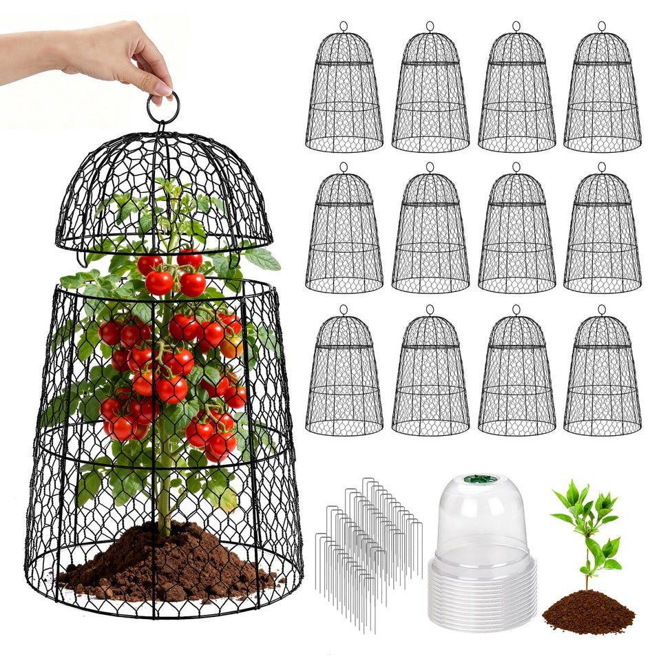 TEMFAR 12-pack XL garden cloches assembled on beds for seedling protection