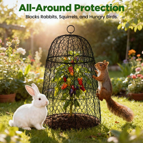 TEMFAR rustproof powder-coated metal cloches withstand outdoor use