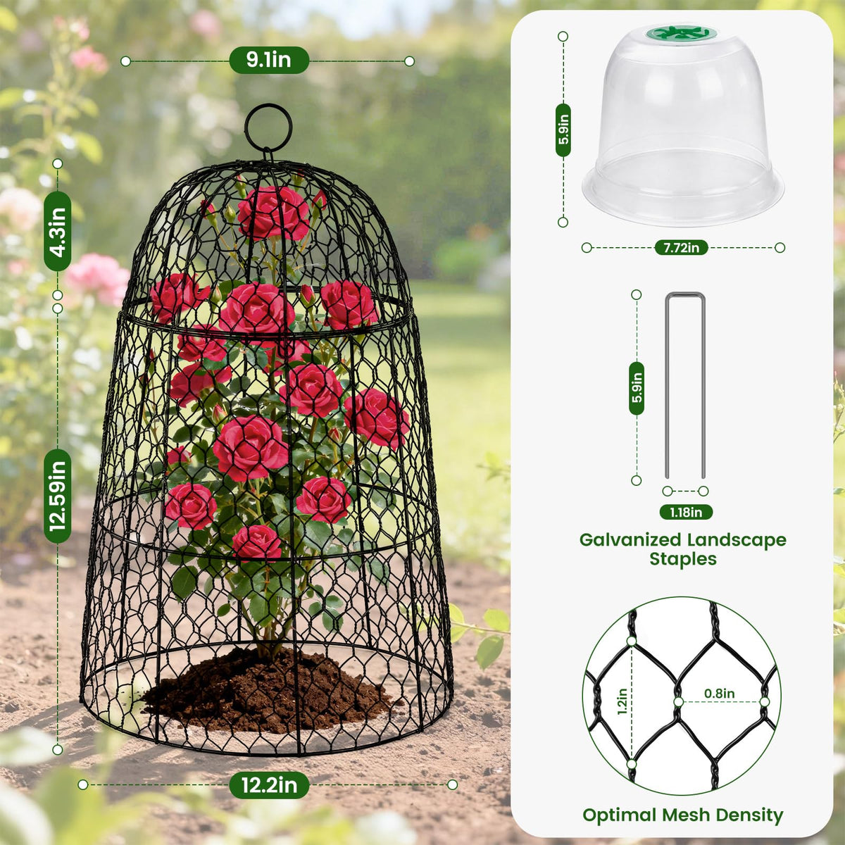 TEMFAR cloche dome with easy-grip handle for quick access