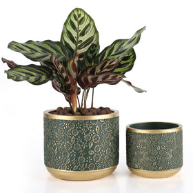 Ten-stone 6-inch cement planter with drainage hole for indoor plants.