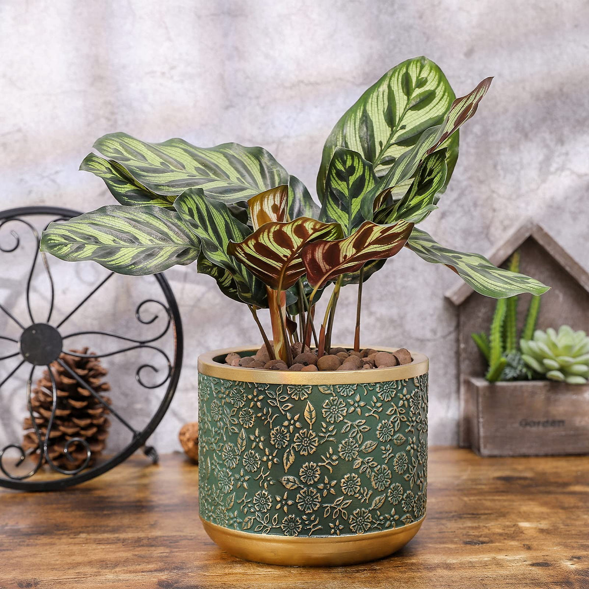 Ten-stone gift-ready planter suitable for housewarming or birthdays.
