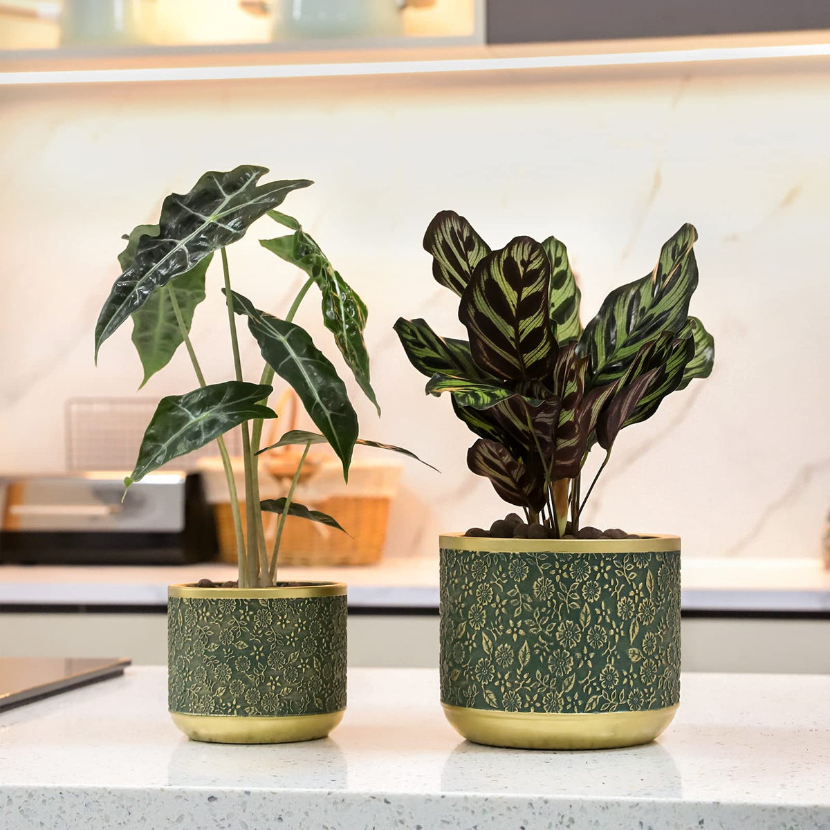 Ten-stone indoor-outdoor planter suitable for patios and sunny windowsills.