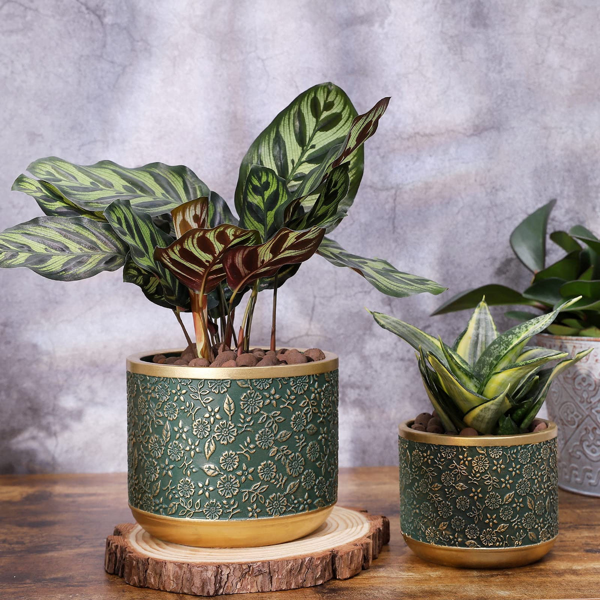 Ten-stone unglazed cement planter with modern primitive style.