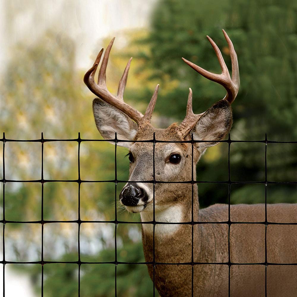Tenax Deer Fence Select 1A120244 close-up shows UV-treated material preserving color.