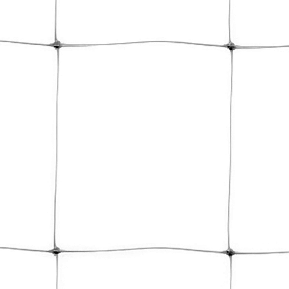 TENAX Hortonova LM trellis net 59x100 white installed vertically supports climbing crops