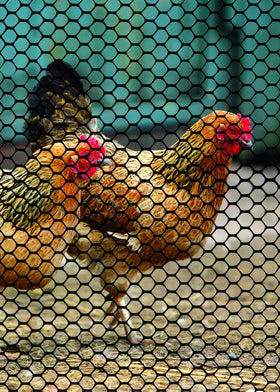 Tenax garden protection usage features in black mesh to blend with landscapes.