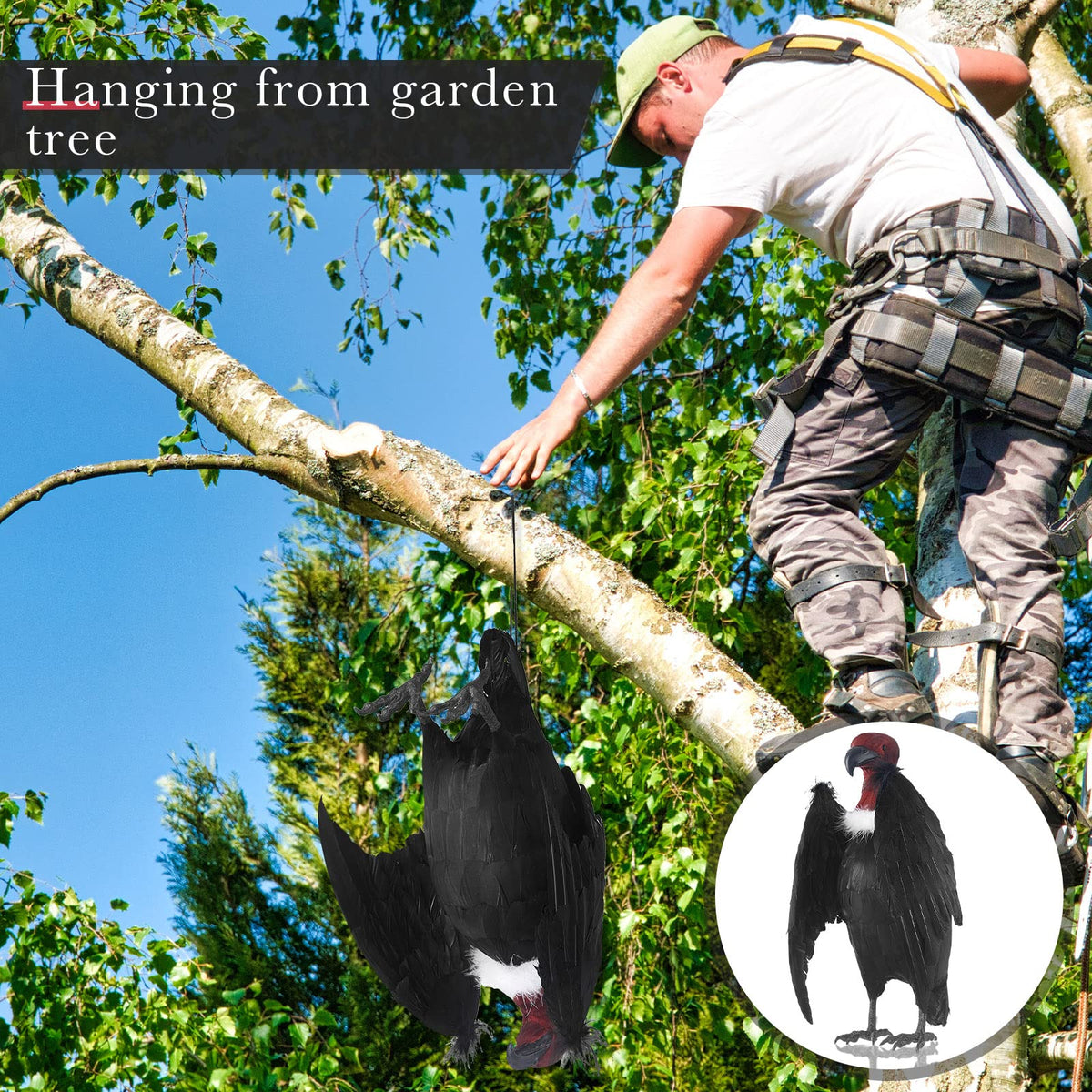 Tenceur outdoor garden vulture decoy hung on trees to deter birds.