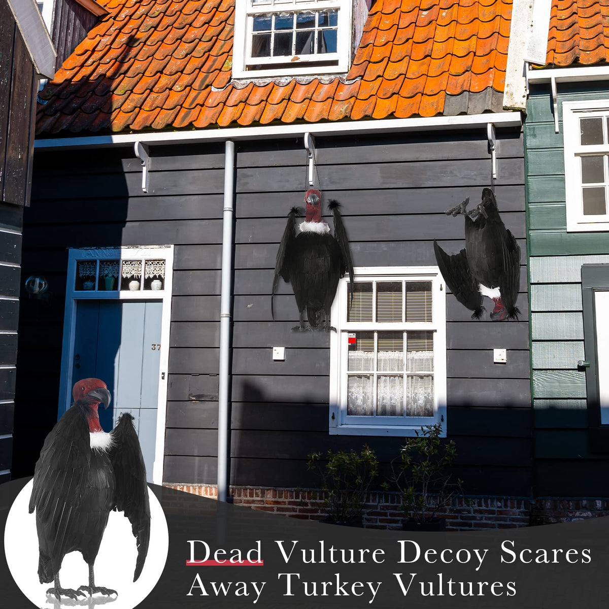 Tenceur black feathered vulture decor suitable for yards and roofs.